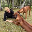 Ana Hickmann faz homenagem a seus cães: 'Tenho super-heróis' (Reprodução/Instagram)